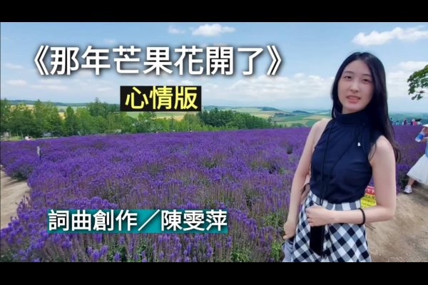 那年芒果花開了